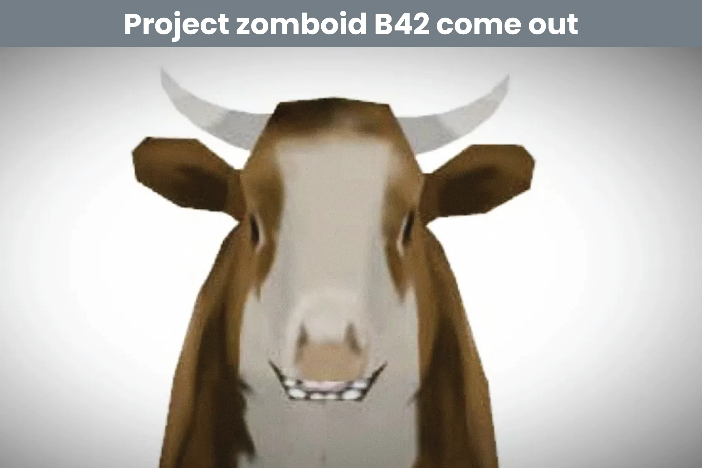 When Will Project Zomboid B42 Come Out